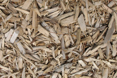 biomass boilers Caio